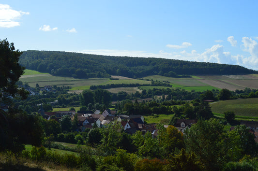 Gin Wanderung 26.04.26