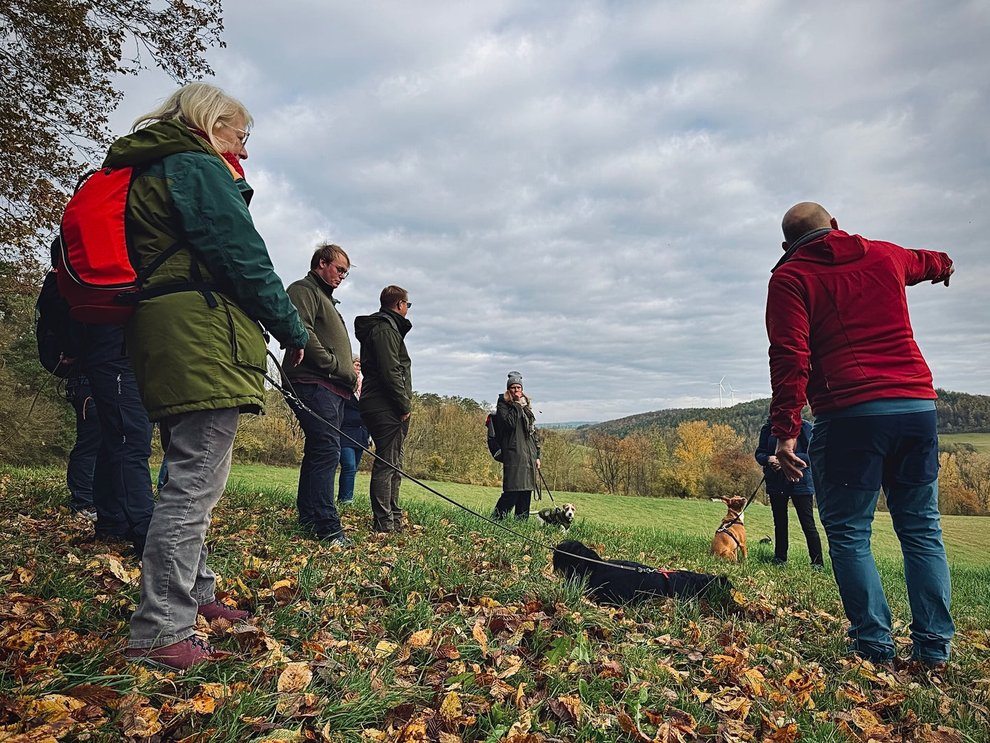 Gin Wanderung 4.10.26 - Indian Summer: Was wächst denn da?