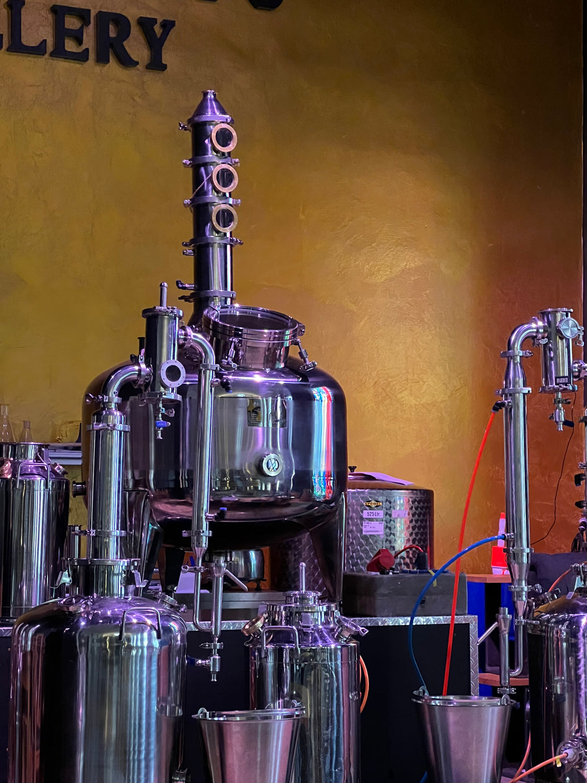 Gin Tasting mit live Distilling Fr., 19.02.2027