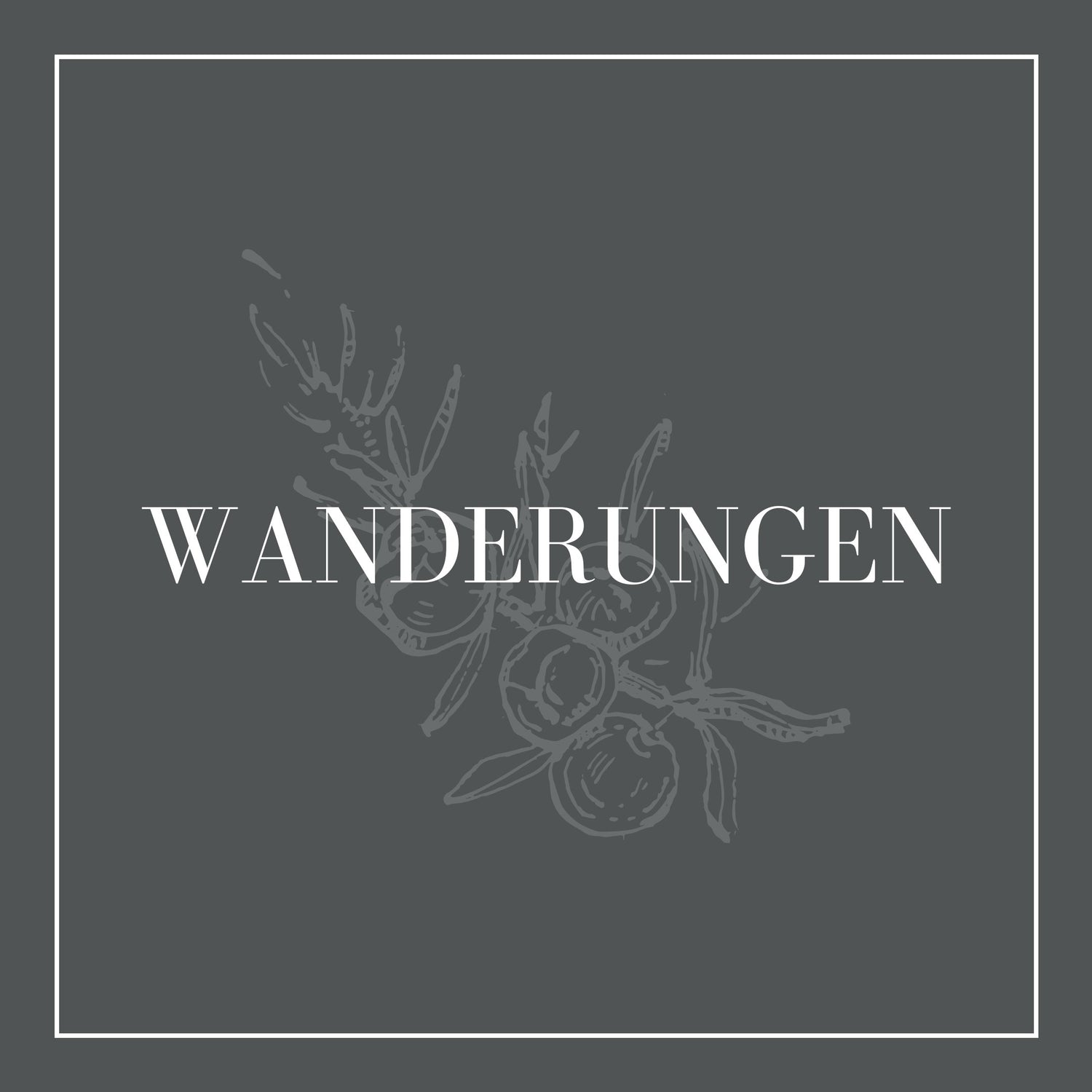 Führungen & Wanderungen