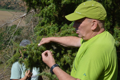 Gin Wanderung 19.07.26