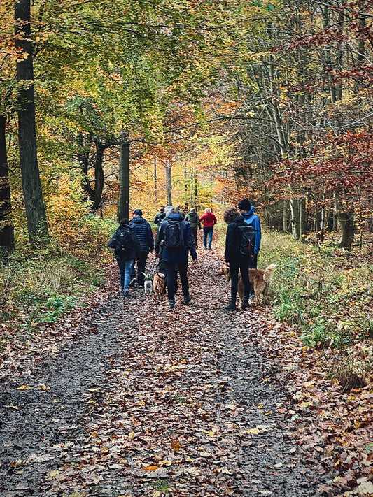 Gin Wanderung 25.01.26